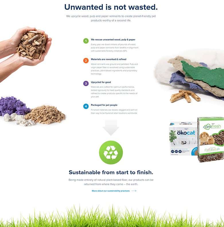 clean-visuals screenshot of healthy pet website