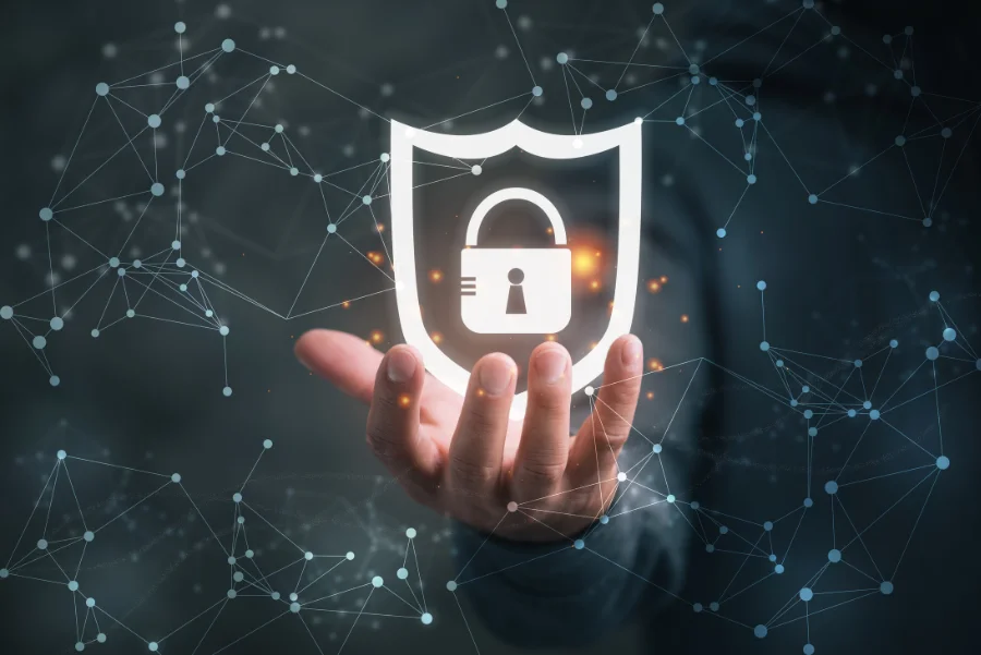 Understanding the Basics of Web Security